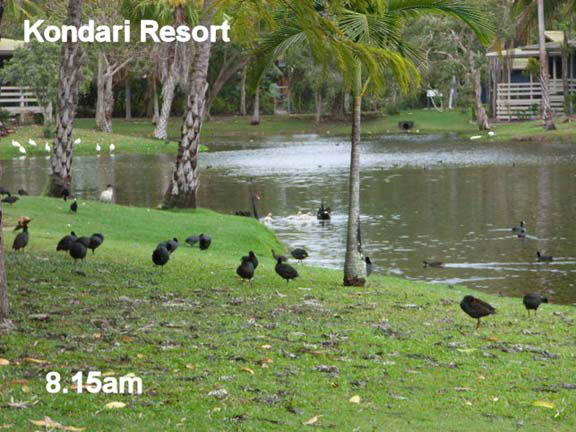 photo of Kondari Resort