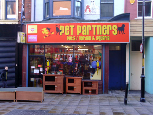 Pet Partners South Shields Picture