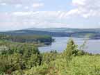 picture of kielder forest