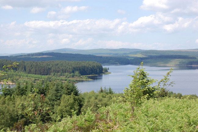 photograph of Kielder Forest Northumberland