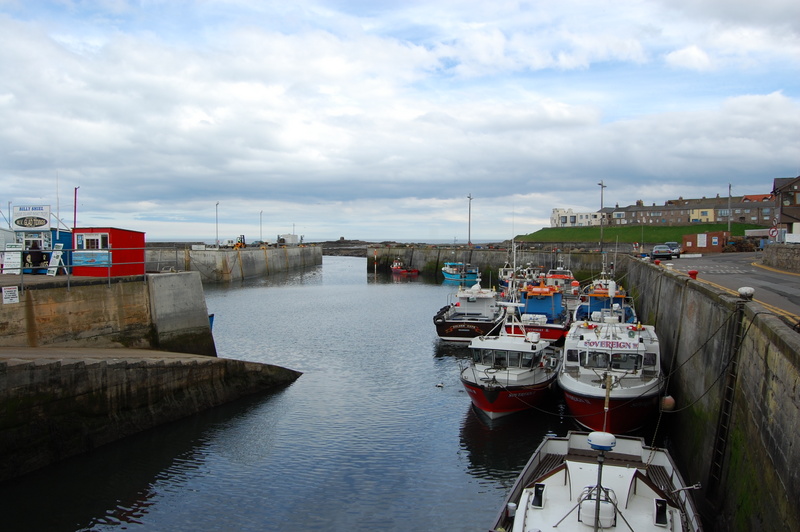photograph of fishing boats in Seahouses Harbour