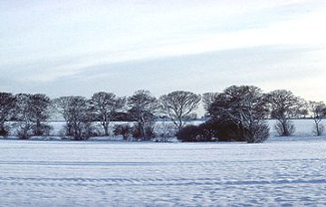 picture of a snow on cleadon hills