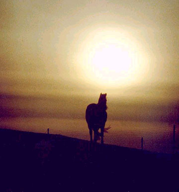 picture of winter solstice on cleadon hills