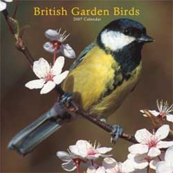photo of British Garden Birds calendar