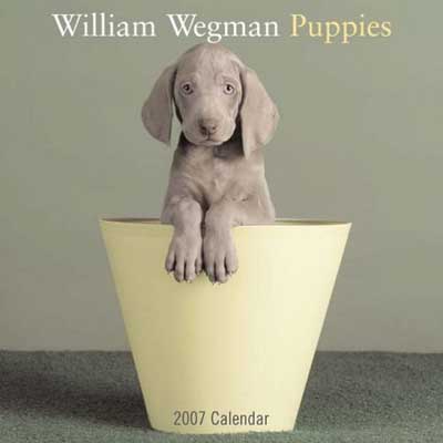 photo of Dogs calendar