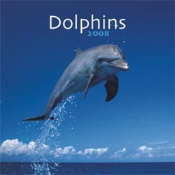 photo of Dolphins Calendar