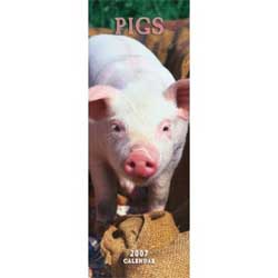 photo of Pigs calendar