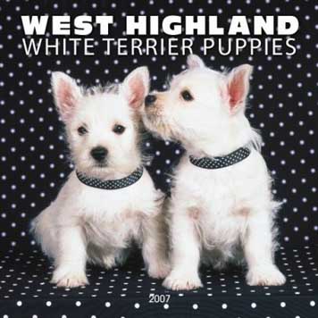 photo of west Higland Dogs calendar
