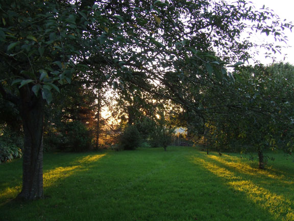 photo of Sunset in France