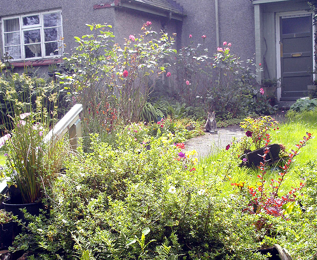 photo of cottage in Rock Village