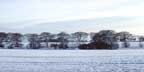 photo of snow on cleadon hills south shields