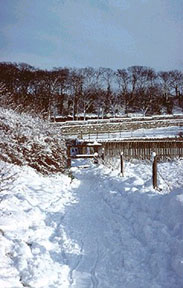 picture of the photopath on cleadon hills