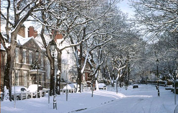 picture of winter in westoe village